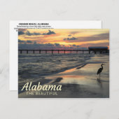 オレンジビーチ、アラバマ湾岸はがき ポストカード (正面/裏面)