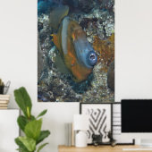 オレンジフィッシュ ポスター (ホームオフィス)