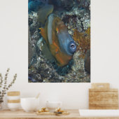 オレンジフィッシュ ポスター (キッチン)