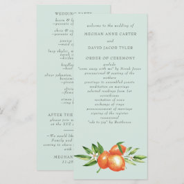 オレンジフラスシトラスボタニッ結婚クス プログラム