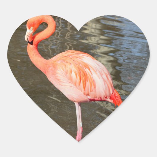 オレンジフラミンゴ写真 ハートシール (正面)