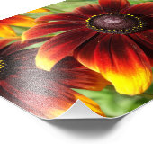 オレンジフラワーフォトグラフィー、コダックプロフェッショナル フォトプリント            (角)