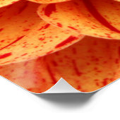 オレンジフラワーポスター ポスター (コーナー)