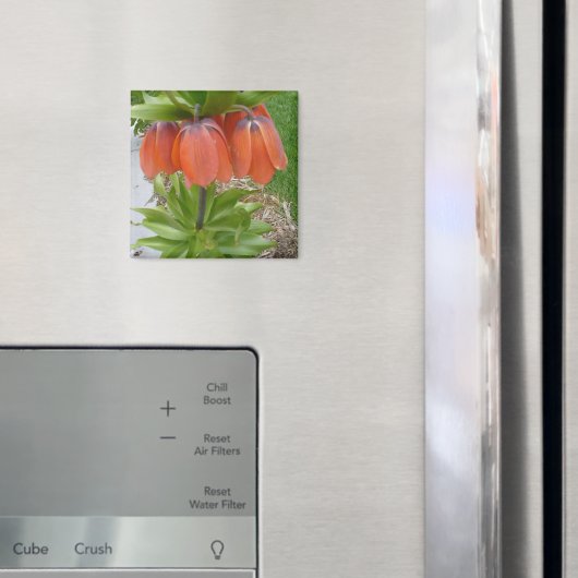 オレンジフラワーマグネット マグネット (インサイチュ (冷蔵庫))