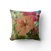 オレンジフラワー自然撮影