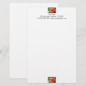 オレンジフラワー ステーショナリー (正面/裏面)