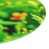 オレンジフラワー《写真》ぼけ味サニー カッティングボード (角)