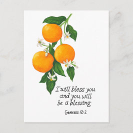 オレンジフルーツ創世記12:2 ポストカード
