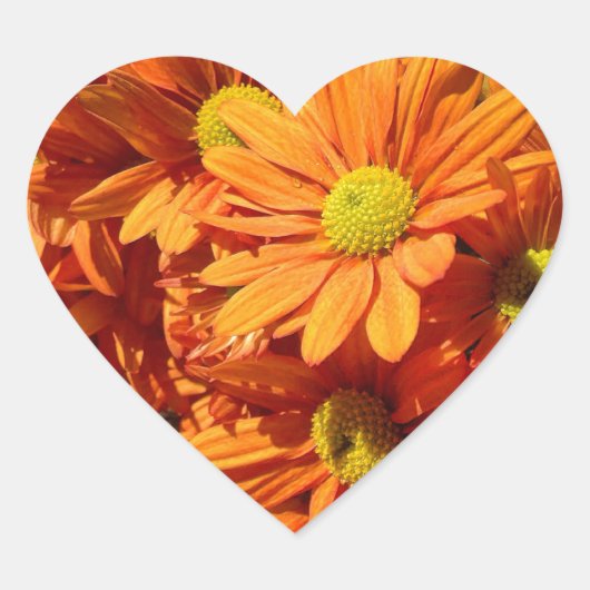 オレンジフローラハートシール ハートシール (正面)