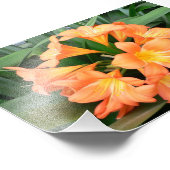 オレンジブッシュリリー花またはナチュラルリリー フォトプリント            (角)