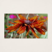 オレンジブラックアイドスーザンデイジーフラワー (裏面)