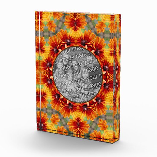 オレンジブラックアイドスーザンデイジー追加 フォトブロック (右)