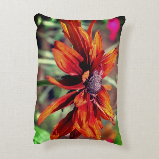 オレンジブラックアイドスーザンフラワークローズアップ アクセントクッション (裏面(縦))