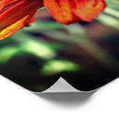 オレンジブラックアイドスーザンフラワークローズアップ ポスター (角)