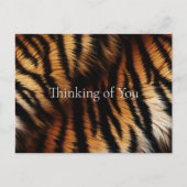 オレンジブラックタイガーストライプアニマルプリント ポストカード (正面)