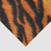 オレンジブラックタイガーストライプズ 薄葉紙 (詳細)