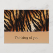 オレンジブラックタイガープリント ポストカード (正面)