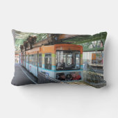 オレンジブルーワッパータルフロートトレイン ランバークッション (裏面)