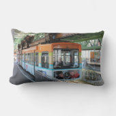 オレンジブルーワッパータルフロートトレイン ランバークッション (正面)