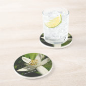 オレンジブロッサム – コースター (側面)