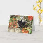 オレンジブーゲンビリアを通ってかいま見ている黒い子ネコ カード (黄色い花)