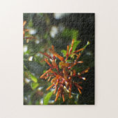 オレンジプラントパズル ジグソーパズル (縦)