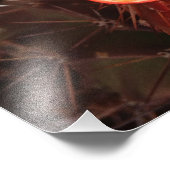 オレンジヘッジホッグサボテン花の写真プリント フォトプリント            (角)