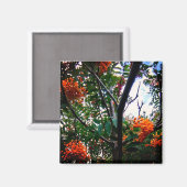 オレンジベリー マグネット (正面/裏面)