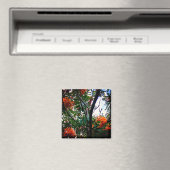 オレンジベリー マグネット (インサイチュ (食洗機))