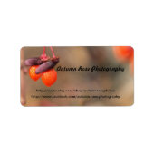 オレンジベリー ラベル (正面)