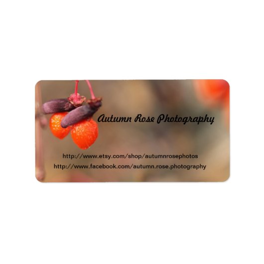 オレンジベリー ラベル (正面)