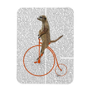 オレンジペニーのFarthingのMeerkat マグネット