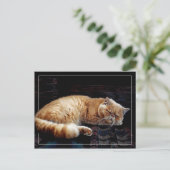 オレンジペルシア猫の眠り ポストカード (スタンド正面)