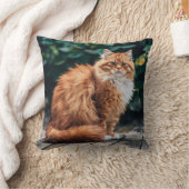 オレンジペルシャ猫 クッション (ブランケット)