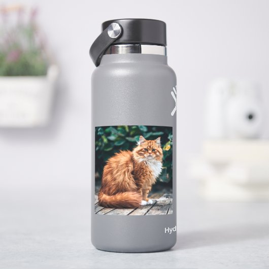 オレンジペルシャ猫 シール (HydroFlask)