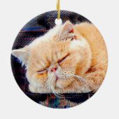 オレンジペルシャ セラミックオーナメント (裏面)