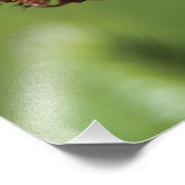 オレンジホクウィード野生のもの フォトプリント            (角)