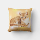 オレンジホワイトタビーキャット装飾用クッション クッション (正面)