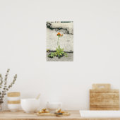 オレンジホークウィード ポスター (キッチン)