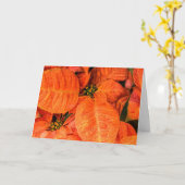 オレンジポインセチア カード (黄色い花)
