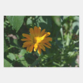 オレンジポットマリゴールド花(Calendula officinalis) ラッピングペーパーシート (正面)