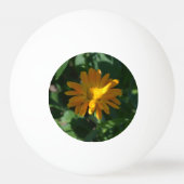 オレンジポットマリゴールド花(Calendula officinalis) 卓球ボール (裏面)