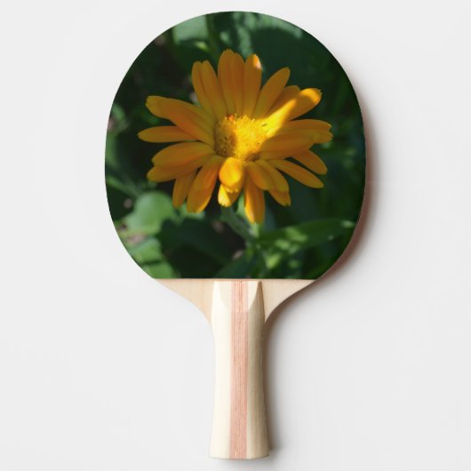 オレンジポットマリゴールド花(Calendula officinalis) 卓球ラケット (正面)
