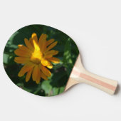 オレンジポットマリゴールド花(Calendula officinalis) 卓球ラケット (横)