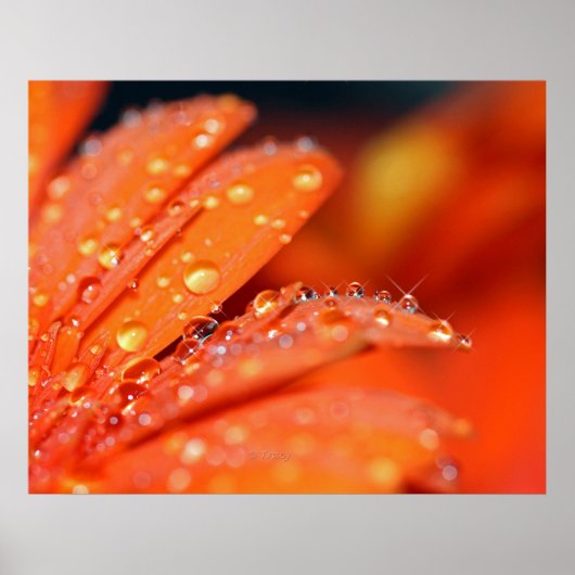 オレンジポップ・アートの色 ポスター (正面)