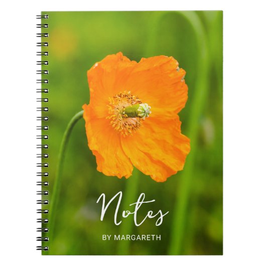 オレンジポピー夏の花写真とカスタム文字 ノートブック (正面)
