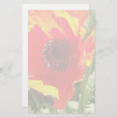 オレンジポピー文房具 便箋 (正面/裏面)