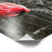 オレンジポピー花畑ミニマリスト写真 フォトプリント            (角)