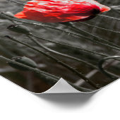 オレンジポピー花畑ミニマリスト写真 ポスター (角)