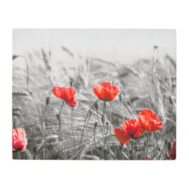 オレンジポピー花畑ミニマリスト写真 メタルプリント